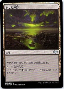 FOIL/やせた原野/Barren Moor/モダンホライゾン/日本語版/MTG１枚 [FC]