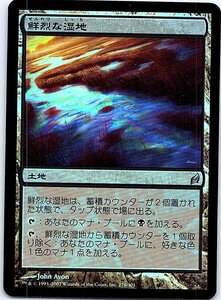 FOIL/鮮烈な湿地/Vivid Marsh/ローウィン/日本語版/MTG１枚 [FC]