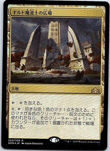 FOIL/ギルド魔道士の広場/Guildmages' Forum/ラヴニカのギルド/日本語版/MTG１枚 [FC]