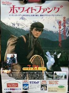 ポスター『 ホワイトファング』（1991年） クラウス・マリア・ブランダウアー イーサン・ホーク シーモア・カッセル WHITE FANG 非売品