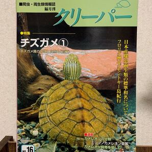 クリーパー チズガメ① No.16 爬虫類・両生類情報誌