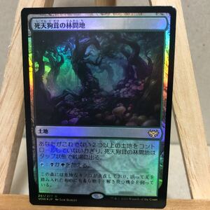 MTG FOIL 《死天狗茸の林間地/Deathcap Glade》[VOW] 土地R イニストラード：真紅の契り マジック：ザ・ギャザリング スローランド