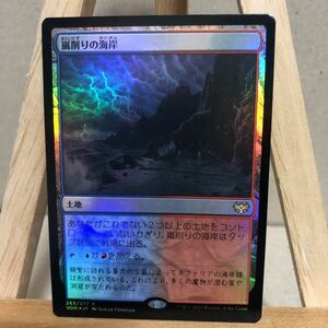 MTG【Foil】《嵐削りの海岸/Stormcarved Coast》[VOW] 土地R 日本語版 イニストラード：真紅の契り マジック：ザ・ギャザリング