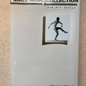 「メール・ヌード・コレクション」male nude collection 視覚デザイン研究所