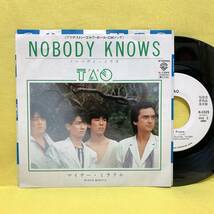 EP■TAO(タオ)■見本盤■NOBODY KNOWS/マイナー・ミラクル■'83■ノーバディ・ノウズ■即決■レコード_画像1