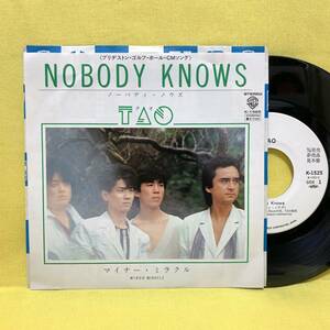 EP■TAO(タオ)■見本盤■NOBODY KNOWS/マイナー・ミラクル■'83■ノーバディ・ノウズ■即決■レコード