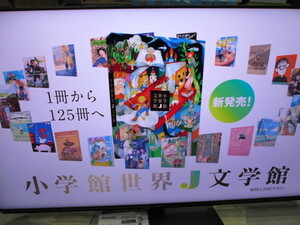 美品　テレビ シャープ 4K液晶テレビ AQUOS 4K 4T-C60DN1