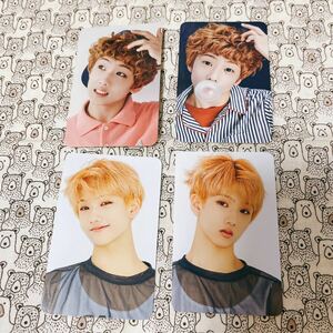 【送料込み】NCTDREAM 6th フォトカードセット チソン