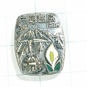 送料無料)戸隠高原 昭和レトロ ご当地 観光地 登山 山登り 旅行 記念 山バッジ ピンバッジ PINS ピンズ A12939