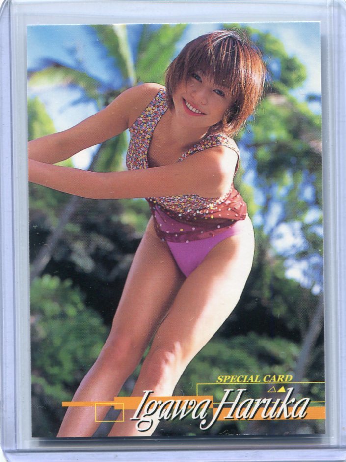 銀座販売中』 井川遥 トレカ www.my-securite.fr