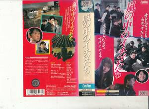 嵐の中のイチゴたち(1989)■ＶＨＳ/小野隆/毛利賢一/山辺有紀/益岡徹/岡本舞