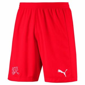 Puma Switzerland 2018 Home Shorts