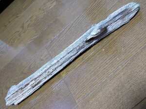 * sea. driftwood length approximately 42cm, width approximately 7cm!