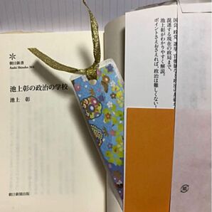 池上彰の政治の学校 一般教養