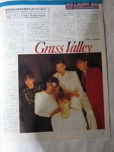 '88【3daysライブは彼らに何をもたらしたのか GRASS VALLEY】THE TOYS(本田恭章) ♯