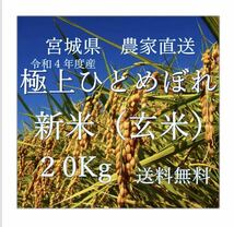 お米　新米　宮城県産　ひとめぼれ　20kg 産地直送　令和4年度産　送料込み　玄米_画像1