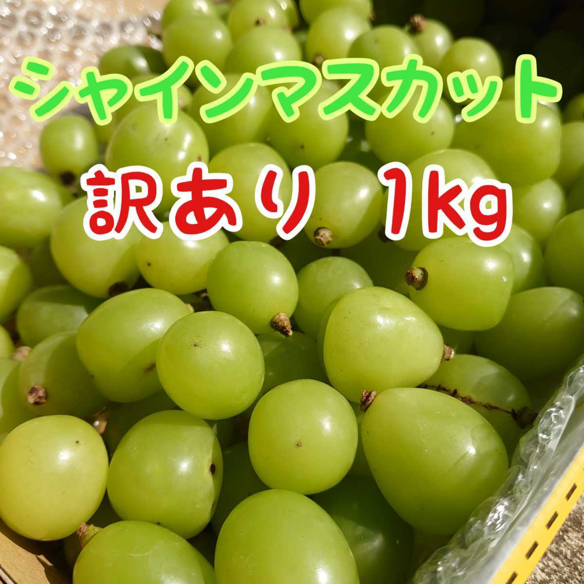 わけあり シャインマスカットの粒 1.２キロ  D
 正味1.2キロ D