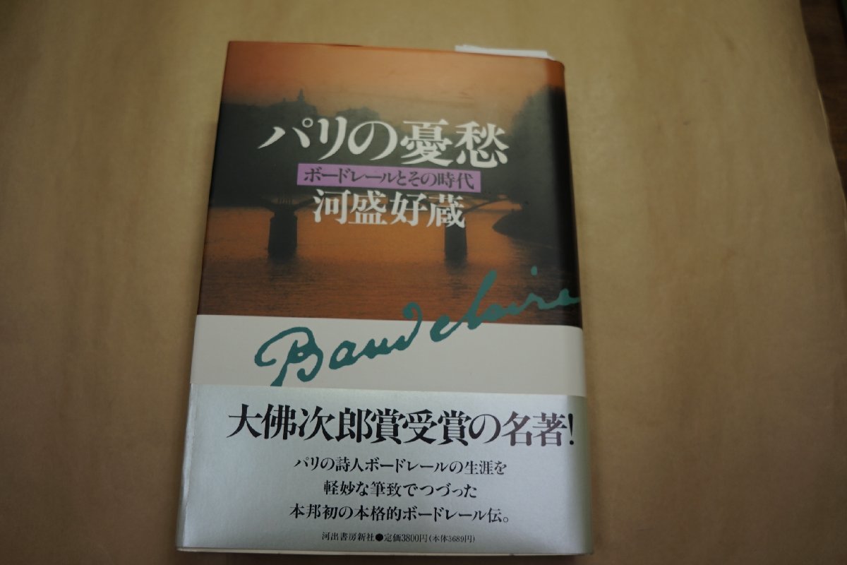 ダークブラウン 茶色 藤平伸の水彩画 | giulianacividanes.com.br