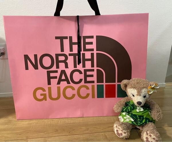 THE NORTH FACE / GUCCI 紙袋 (特大)