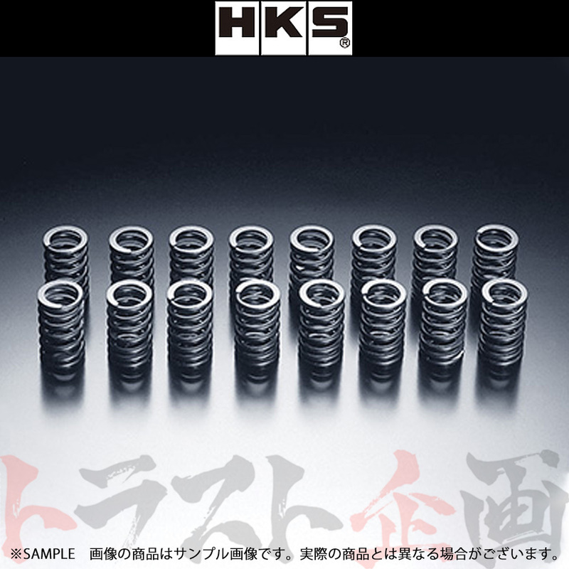 HKS バルブ スプリング ランサー エボリューション 2 CE9A 4G63 22001-AM001 トラスト企画 ミツビシ (213121355