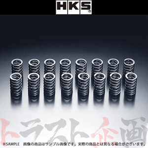 HKS バルブ スプリング シルビア S14/S15 SR20DE/SR20DET 22001-AN002 トラスト企画 ニッサン (213121353