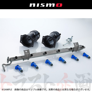 NISMO ニスモ RB26DETT エンジン用 フューエルキット スカイライン GT-R BNR34/R34 後期 2000/8- 17500-RSR42 トラスト企画 (660122173