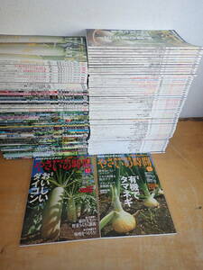 [S⑱A] large amount * hobby. gardening .... hour 2010 year 11 month number ~2021 year 12 month number . less together 112 pcs. set 