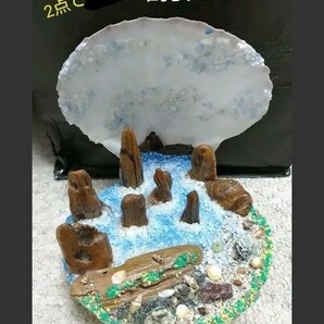 14 ホタテ　貝殻　箱庭　ジオラマ　海　景色　風景　飾り　置物