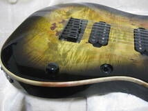 Ibanez RG7321 MOD_画像4