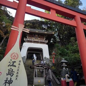 おみくじ