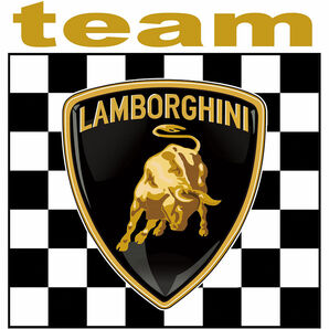 即納 ランボルギーニ チーム team LAMBORGHINI チェッカーフラッグ 75mm x 75mm ステッカー 《送料無料》残り1点の画像1