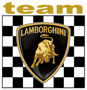 即納 ランボルギーニ チーム team LAMBORGHINI チェッカーフラッグ 75mm x 75mm ステッカー 《送料無料》残り1点