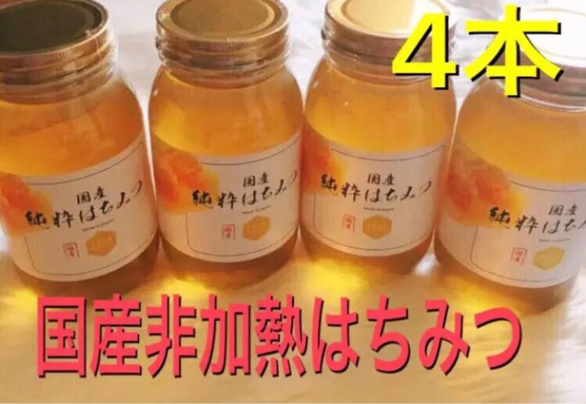 プレゼントを選ぼう! 【SALE】【国産非加熱】山の花々のはちみつ600g