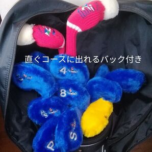 値下げ中!【美品】メンズ ゴルフクラブセット プロギア 13本セット アイアン10本 ウッド2本 パター1本