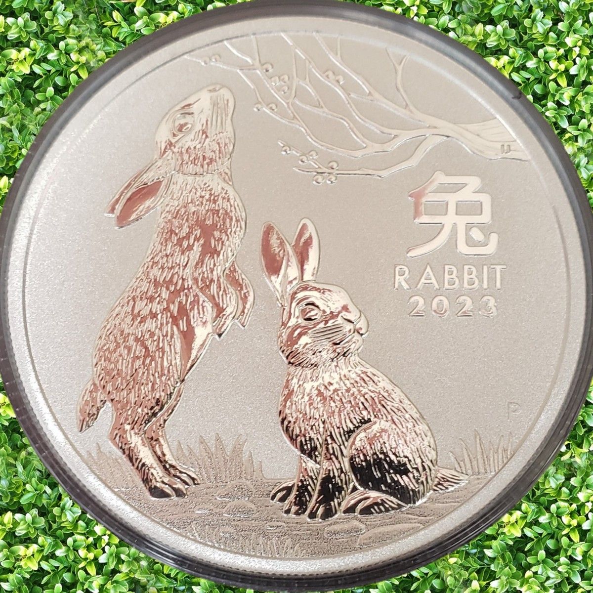 銀貨 99 9% 純銀 ウサギ 銀貨 1オンス うさぎ 兎 自由連合 法定銀貨 銀貨 99 9% 純銀 ウサギ 銀貨 1オンス うさぎ 兎 自由連合 法定銀貨