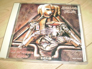 ○国内盤！MEKONG DELTA / THE PRINCIPLE OF DOUBT+TOCCATA*スラッシュ/thrashクロスオーヴァーデスラッシュ