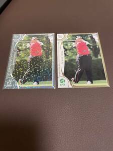 EPOCH 2022 JLPGA 日本女子プロゴルフ TOP PLAYERS インサートカード　パラレル版　レギュラーカード2枚セット　酒井美紀
