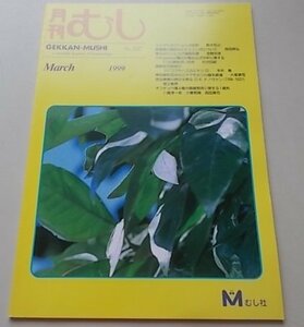 月刊むし　337号　1999年3月号　表紙：ウラギンシジミ