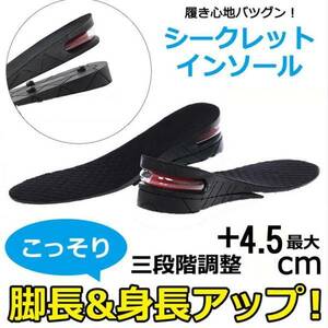 2段 履くだけ 4.5cm 背が高くなる シークレットインソール