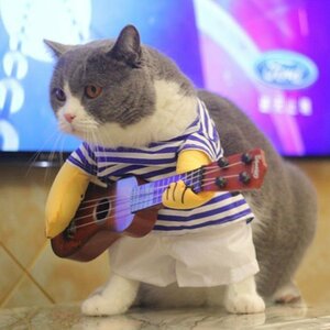 インスタ映え 可愛い 猫用 コスプレ ハロウィーン 服 ギター ペット 犬 ZCL802