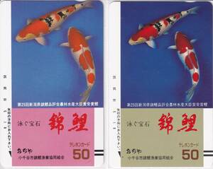 未使用・錦鯉紅白・大正三色2枚組テレカ・泳ぐ宝石・送料無料 