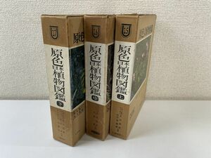 . color Japan plant illustrated reference book .book@ compilation all volume set |3 volume .[ on middle under ] month . is middle volume only lack of Hoikusha *8012