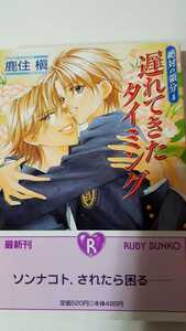 ☆遅れてきたタイミング　絶対の領分４☆　　鹿住槇／高永ひなこ　　　　ルビー文庫