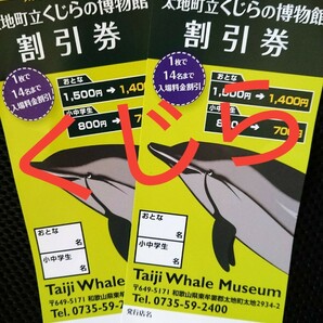 くじらの博物館(和歌山県太地町) 割引券 ２枚