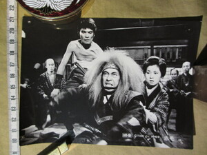希少品 古い 1969年の東宝映画 スチール写真 「赤毛」その４　 出演：三船敏郎、岩下志麻、岡田可愛、他　
