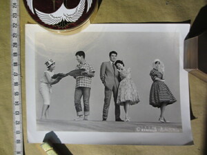 希少 古写真 1959年 　東宝映画 スチール写真 「若い恋人たち」 出演：宝田明、団令子、有島一郎、他　