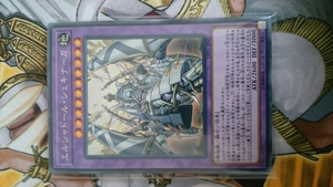 遊戯王 LVP1「エルシャドール・シェキナーガ」 即決 