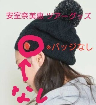 安室奈美恵 Finallyツアーグッズ ボンボンニット帽 ※バッジ無し