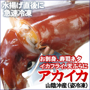 ヤフオク ソデイカ 魚介類 の落札相場 落札価格 ヤフオク ソデイカ 魚介類 の落札相場 落札価格