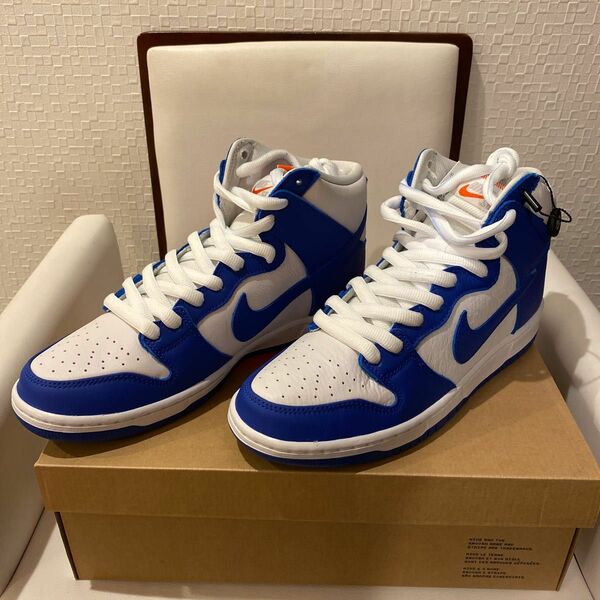 NIKE DUNK HI PRO DH7149-400 10